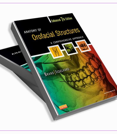 Anatomy of Orofacial Structures Enhanced 7th Edition A Comprehensive Approach